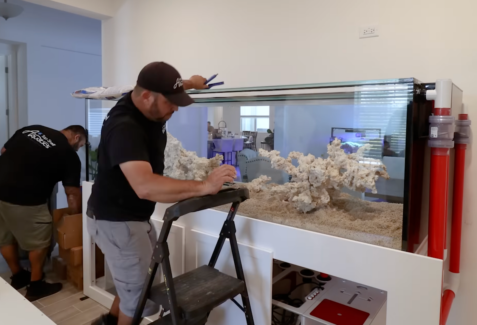 How to Choose the Best Custom Aquarium Installation Services