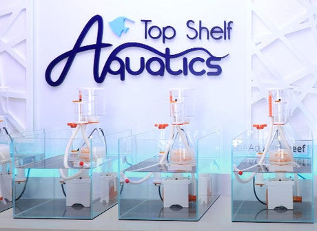 How to Select and Use Protein Skimmers for a Clean, Healthy Aquarium