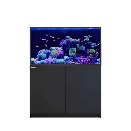 101-150 Gallon Aquariums