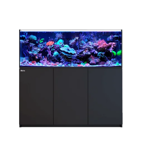 151-200+ Gallon Aquariums