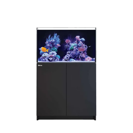 30-100 Gallon Aquariums