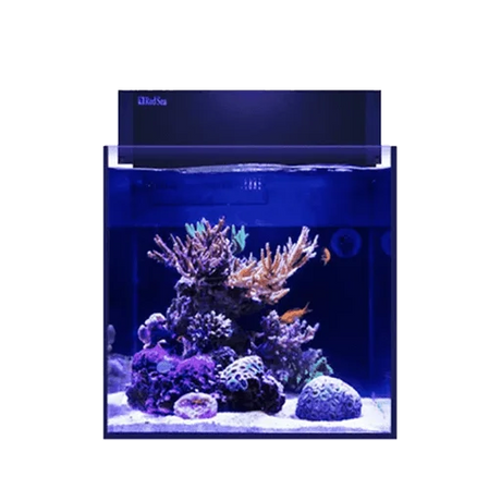 All-in-One Aquariums