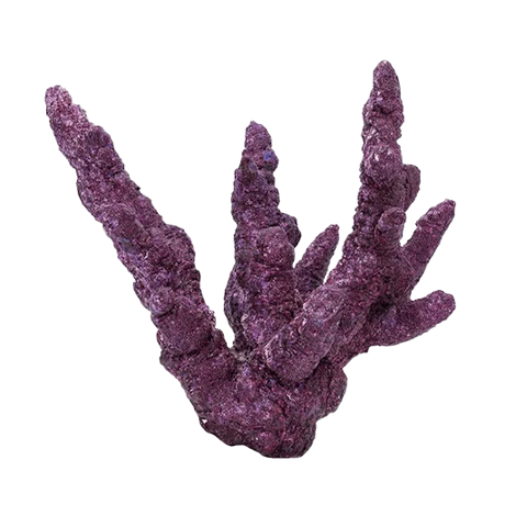 Live Rock Branches