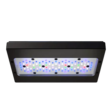 Ecotech Marine Radion Lighting