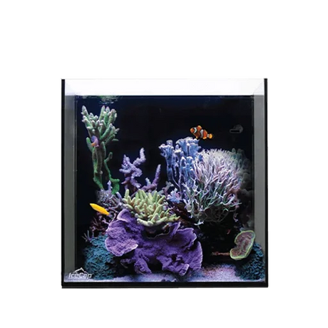 IceCap Aquariums
