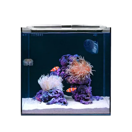 Nano Aquariums