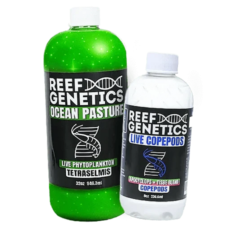 Aquacultured Live Feeds