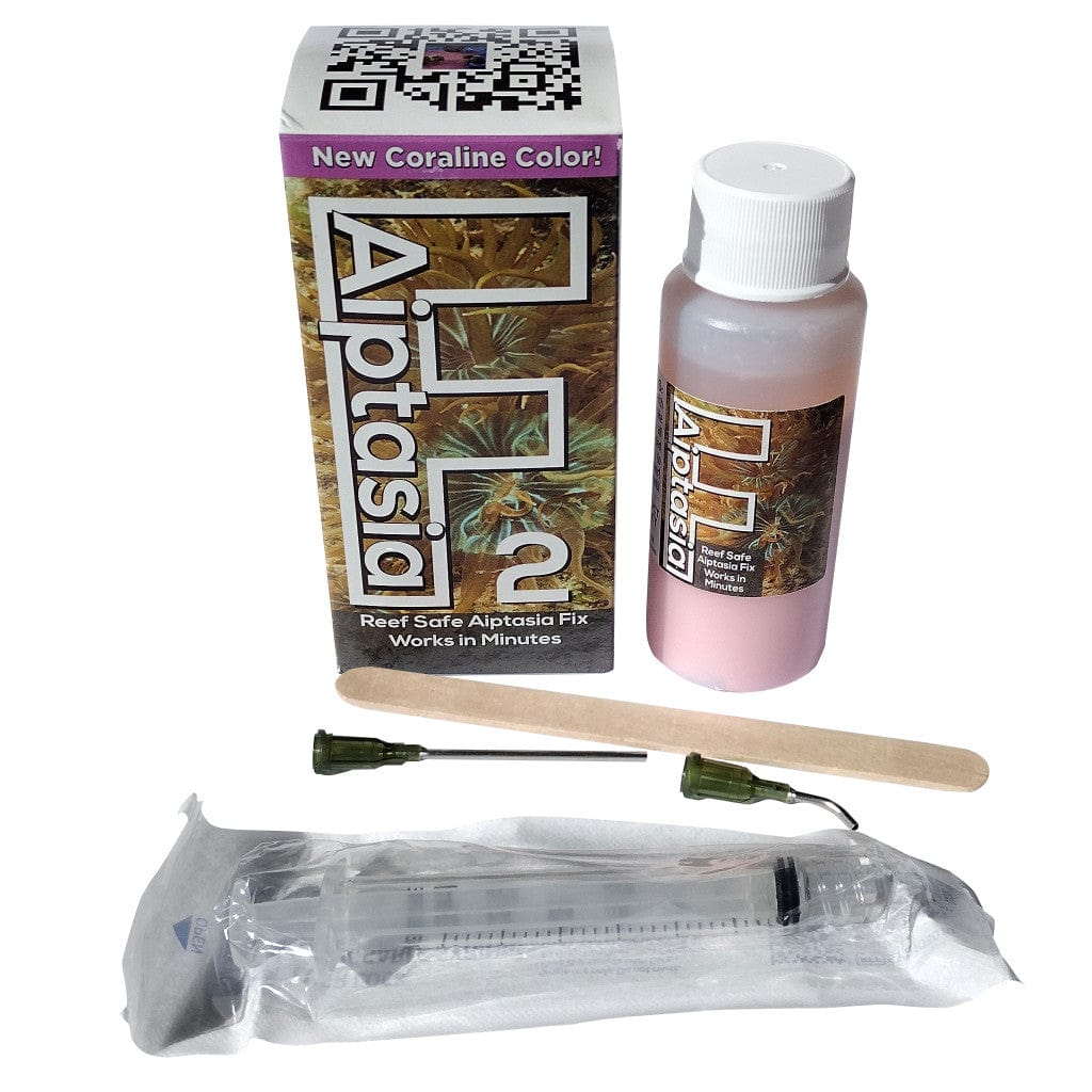 F-Aiptasia - Frank's