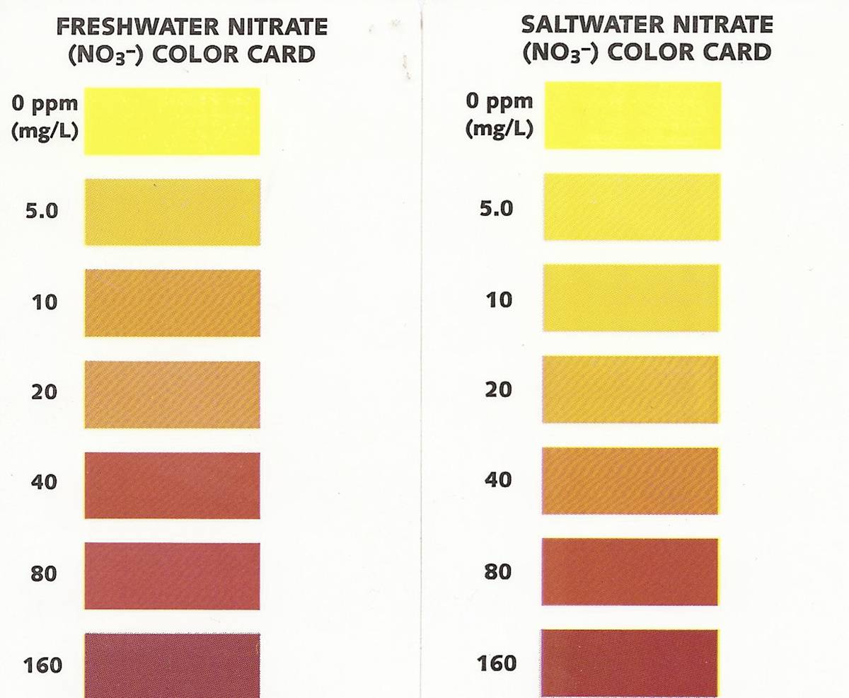 API Nitrate Test Kit for Freshwater and Saltwater Aquariums