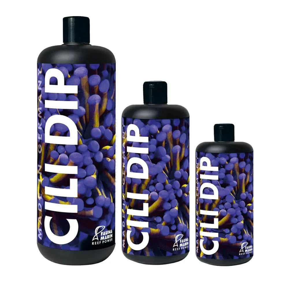 Cili Dip - Fauna Marin