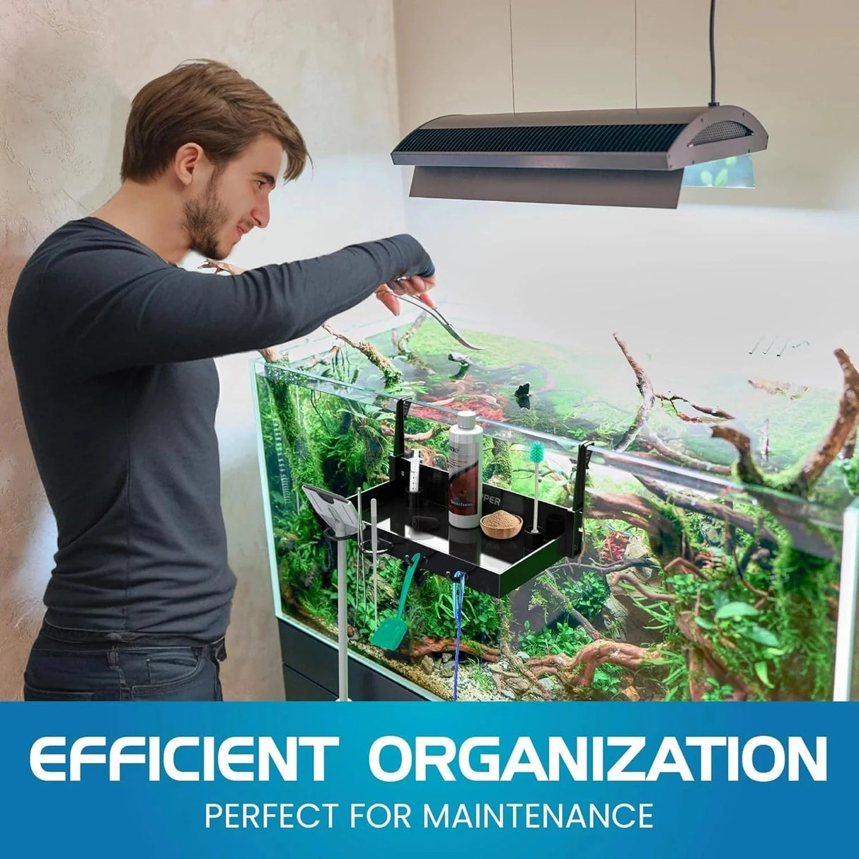 Flipper Tank Buddy - Flipper