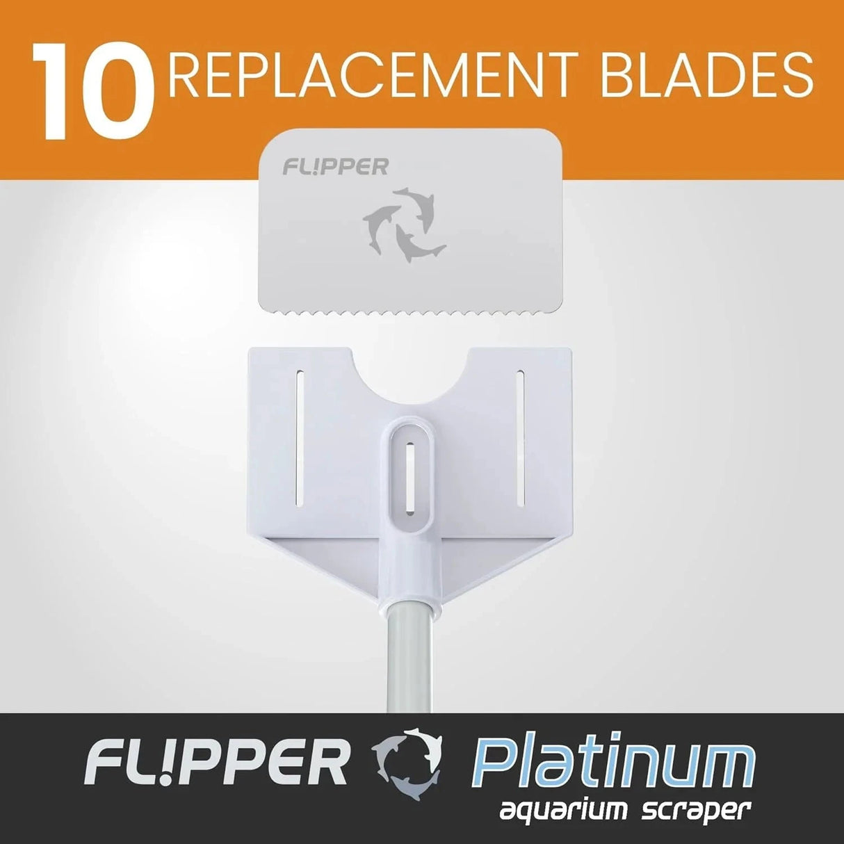 Platinum Algae Scraper Replacement Blades 10 Pack - Flipper