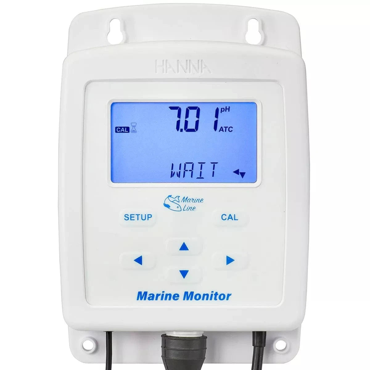 新品未使用 HANNA Marine Monitor Marine Monitor (pH/Salinity/Temperature) - Hanna Instruments – Top