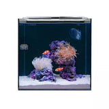 Clownfish & Anemone Aquarium Kit - Hello Reef - EcoTech Marine
