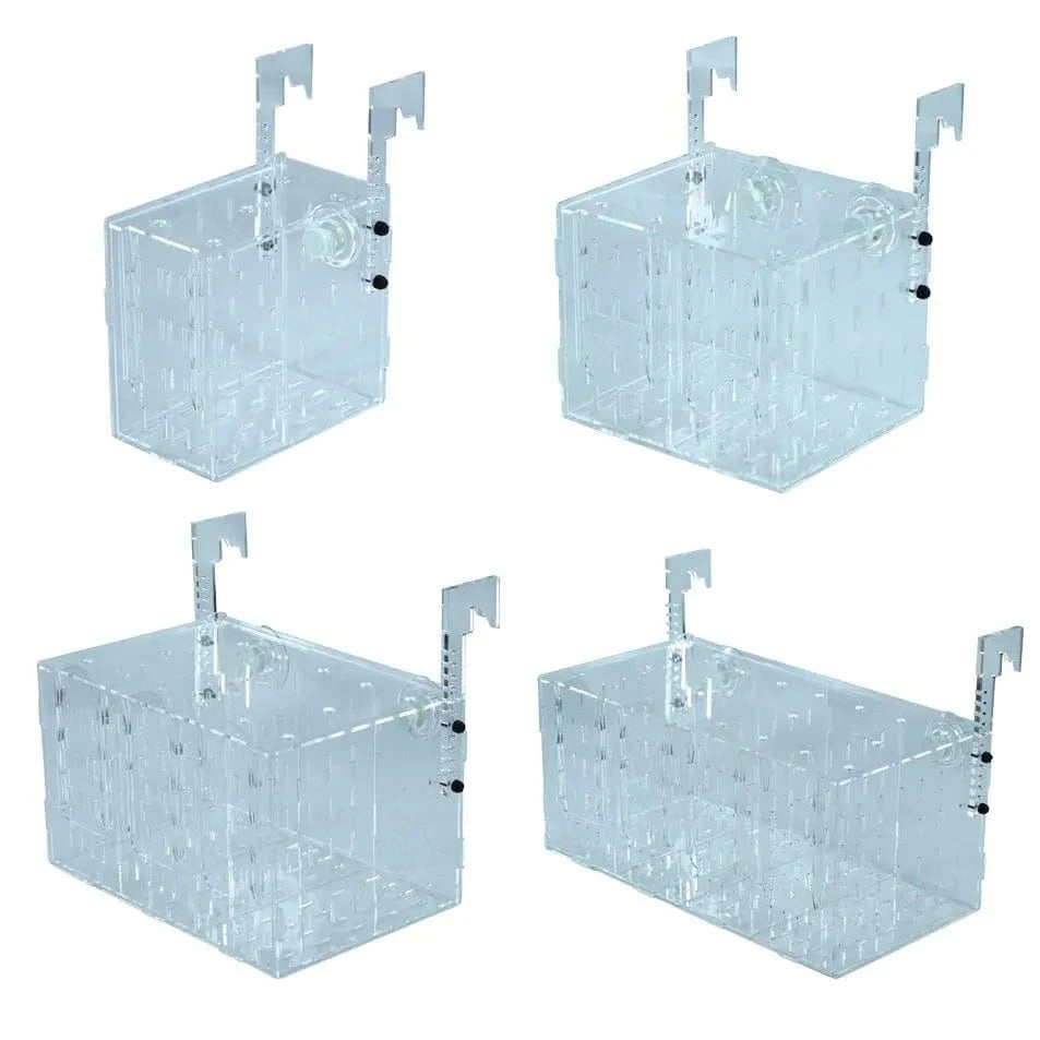 Isolation Boxes - IceCap – Top Shelf Aquatics