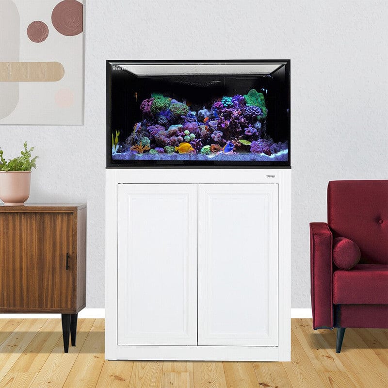 75 Gallon INT Complete Reef Aquarium - Innovative Marine