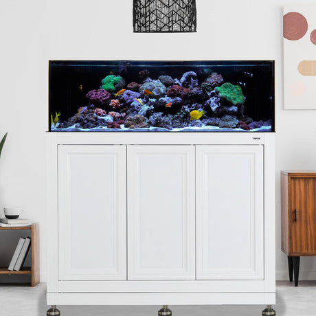 80 Gallon Fusion Pro 2 AIO Aquarium - Innovative Marine White