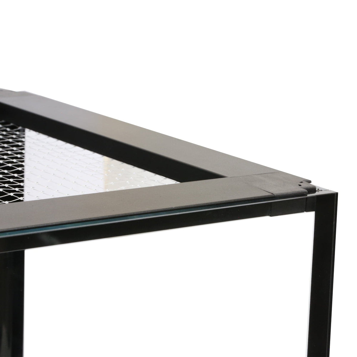 Beautiful view of Safety Screens For Aquariums