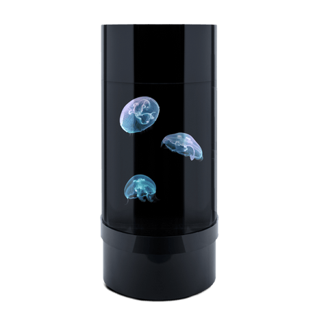 Jelly Cylinder 5 (Black) - 5 Gallon Saltwater Tank (Aquarium only) - Jellyfish Art
