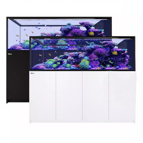 REEFER Peninsula S-950 G2+ - Red Sea - Red Sea