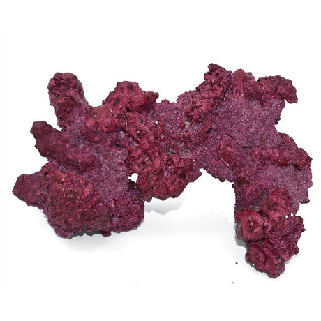 Arches - 4 Pack - Real Reef