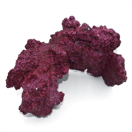 Arches - 4 Pack - Real Reef