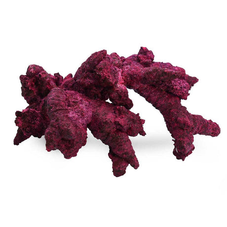Fancy Arches - 4 Pack - Real Reef