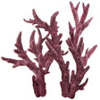 Fancy Branch Rock - 30 lbs Box - Real Reef