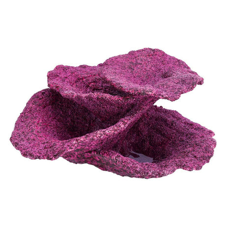 Mini Plate Corals - 1 Piece - Real Reef
