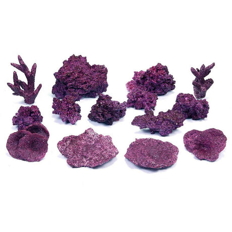 "Mini Reef Box" - 10-20 Gallons - Real Reef
