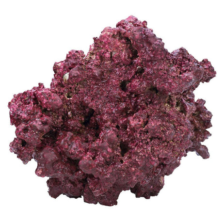 Original Small 4-8" Rocks - (By the lb) - Real Reef