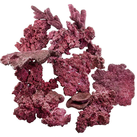 "Reef Ready Box" - 20-40 Gallons - Real Reef