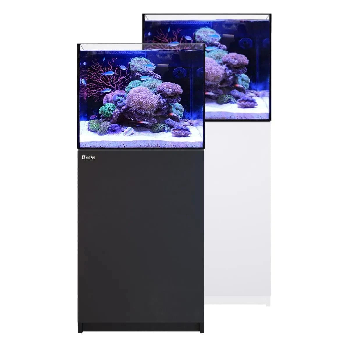 REEFER 170 G3 (43.6 Gal) - Red Sea – Top Shelf Aquatics