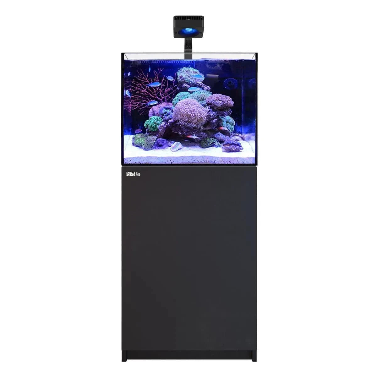 REEFER Deluxe 170 G3 (43.6 Gal) (incl. 1 x ReefLED 115) - Red Sea