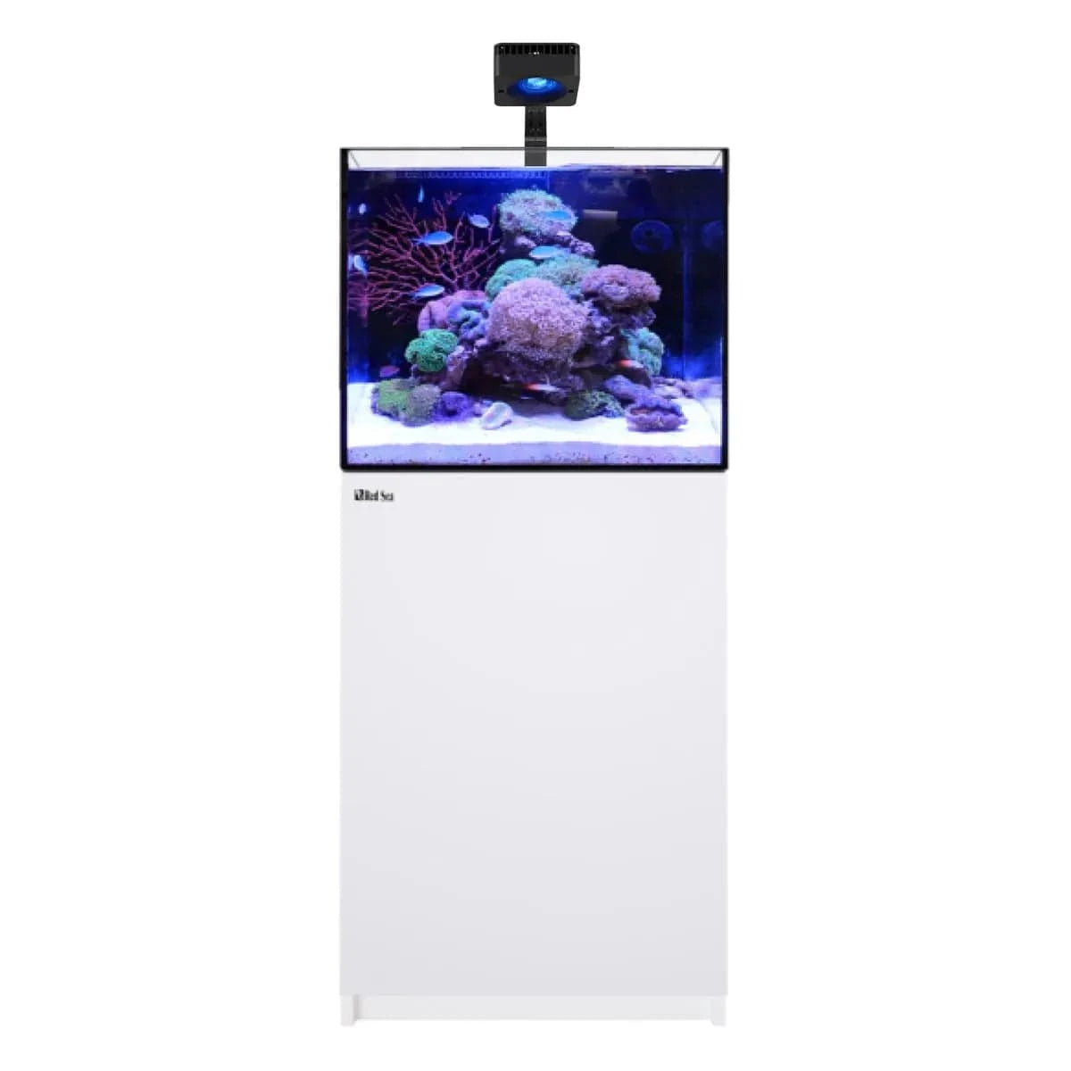 REEFER Deluxe 170 G3 (43.6 Gal) (incl. 1 x ReefLED 115) - Red Sea