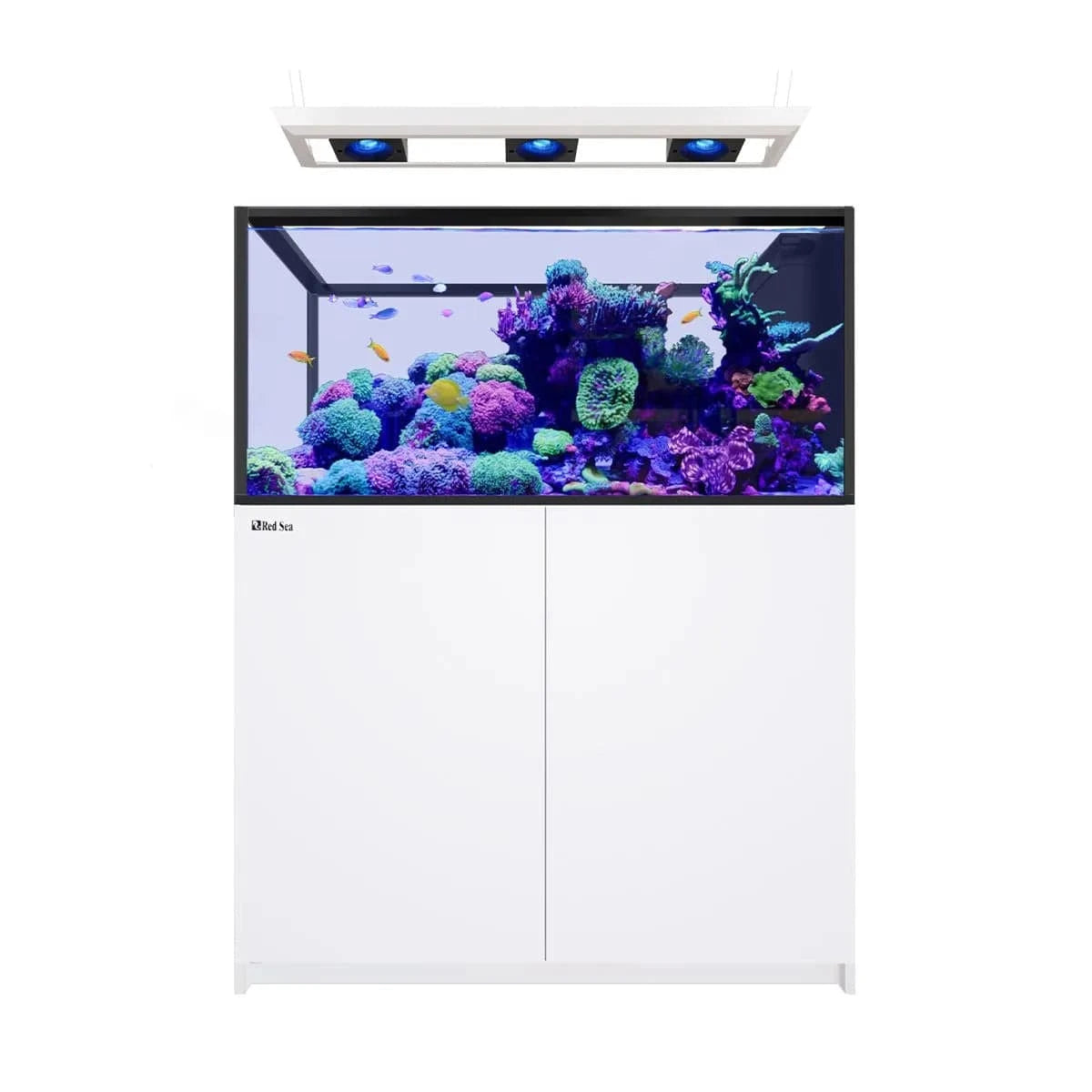 REEFER Deluxe Peninsula 500 G3 (137.1 Gal) (incl. 3 x ReefLED 115) - Red Sea