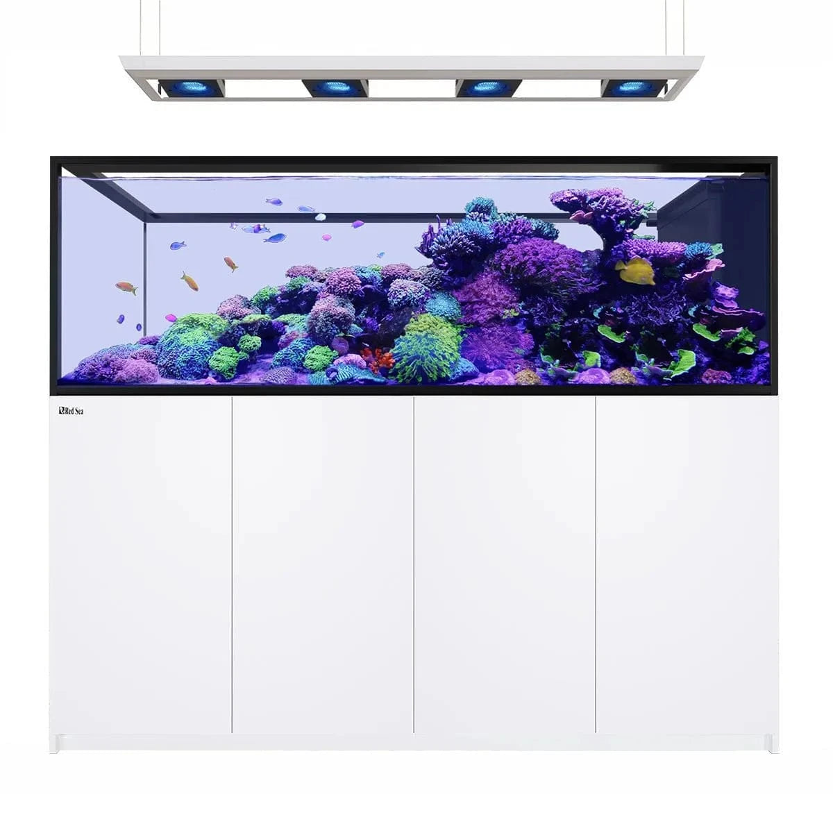 REEFER Deluxe Peninsula S-950 G3 (250.2 Gal) (incl. 4 x ReefLED 170) - Red Sea