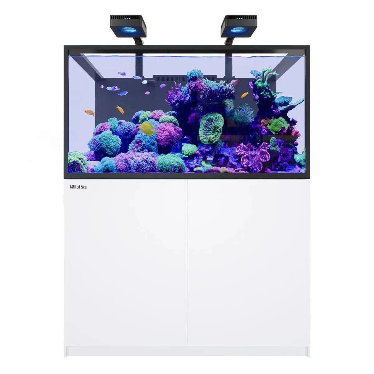 REEFER Deluxe S-550 G3 (145.1 Gal) (incl. 2 x ReefLED 170) - Red Sea