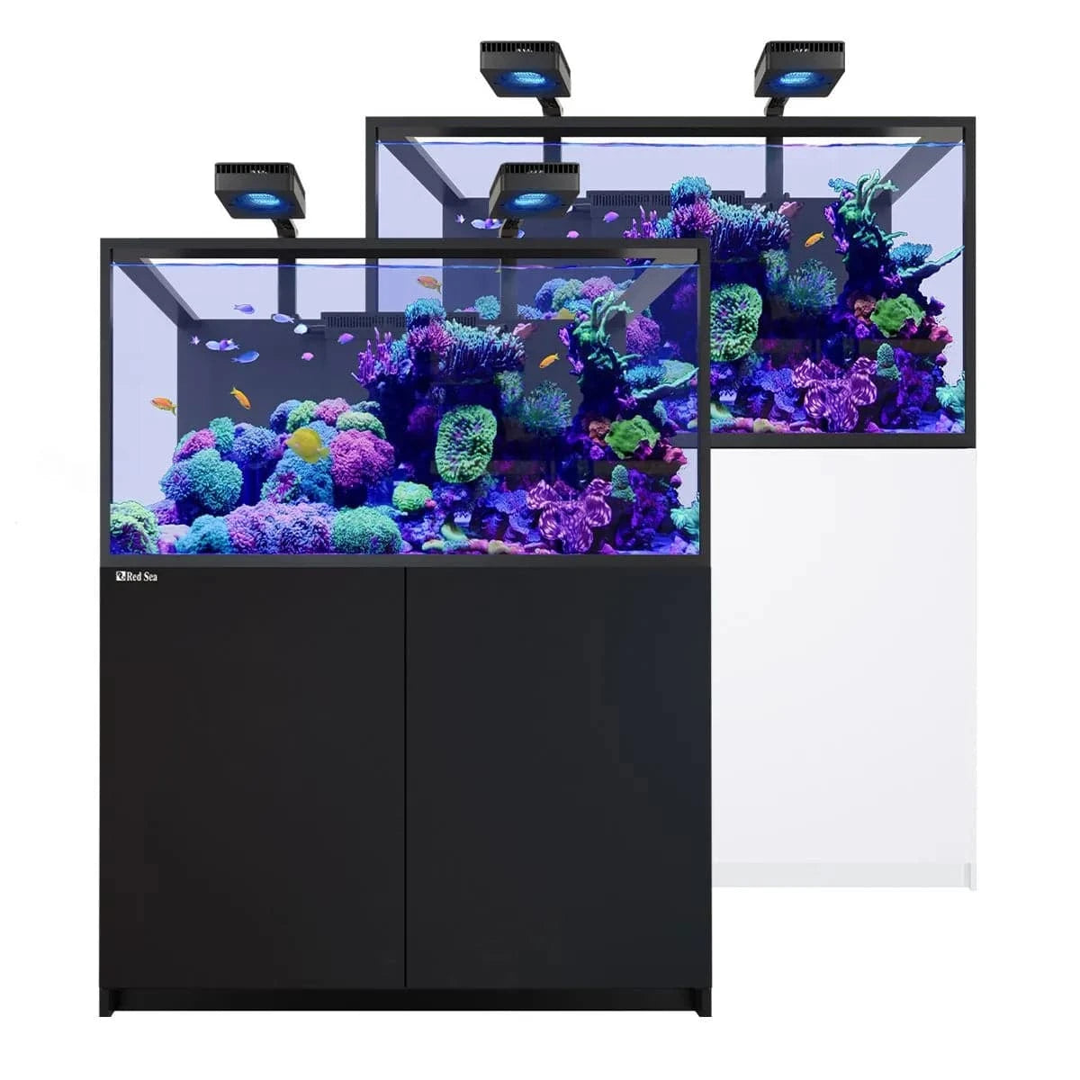 REEFER Deluxe S-550 G3 (145.1 Gal) (incl. 2 x ReefLED 170) - Red Sea