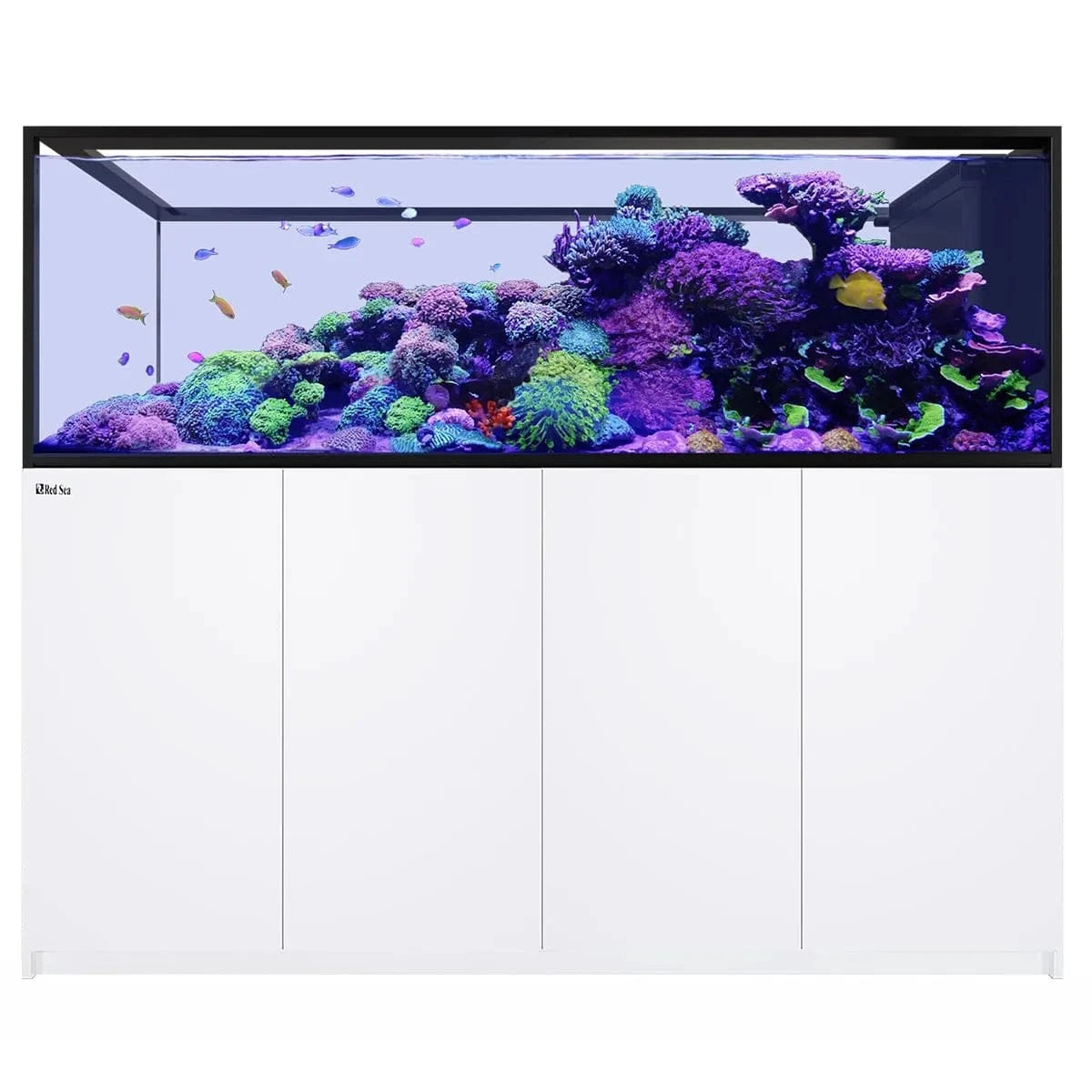 REEFER Peninsula S-950 G3 (250.2 Gal) - Red Sea