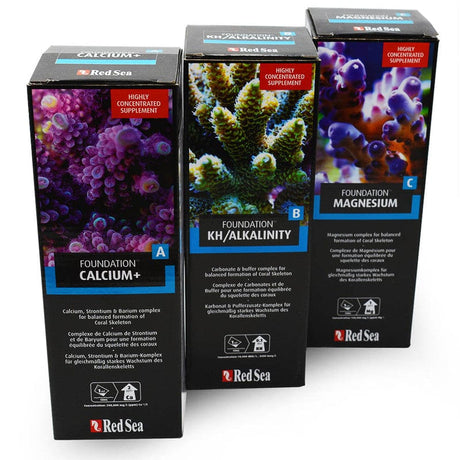 Foundations A,B,C Bundle - Red Sea