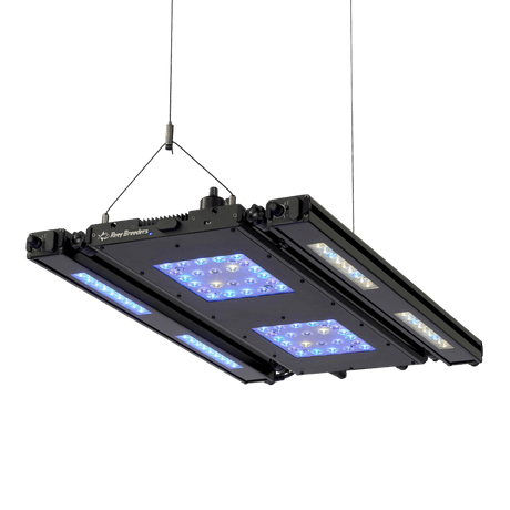 Edge Articulating Mounts - Reef Breeders