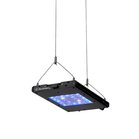 Meridian 11 - Reef Breeders