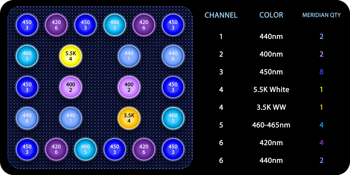 Meridian 11 - Reef Breeders