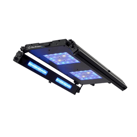 Meridian 24 Edge Bar Bundle - Reef Breeders