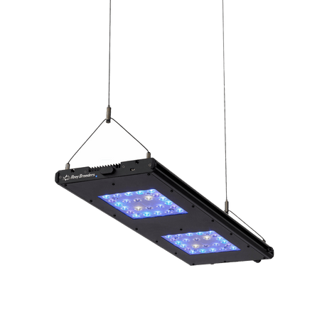 Meridian 24 - Reef Breeders