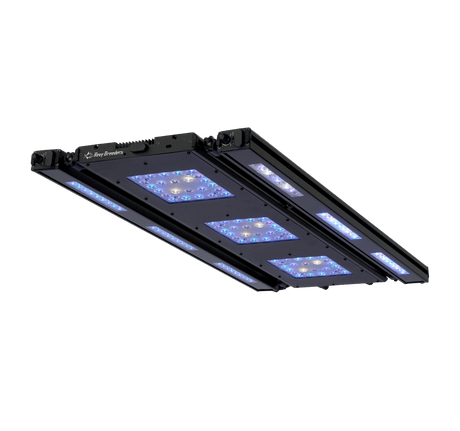 Meridian 35 Edge Bar Bundle - Reef Breeders