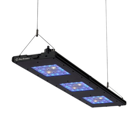 Meridian 35 - Reef Breeders