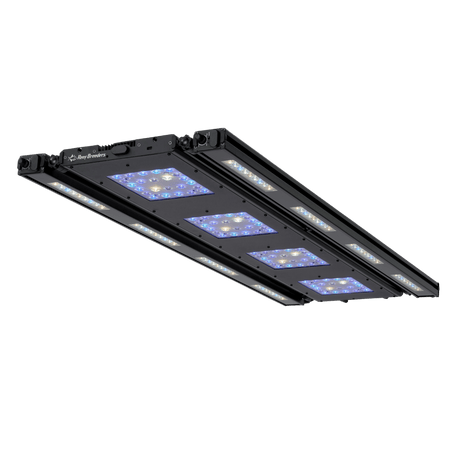 Meridian 45 Edge Bar Bundle - Reef Breeders