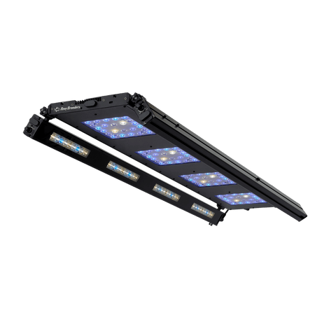 Meridian 45 Edge Bar Bundle - Reef Breeders